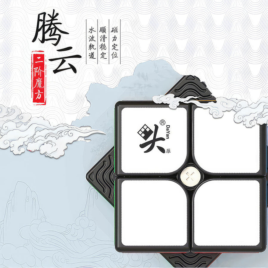 Rubik’s Cube 2x2 DaYan Tengyun M – vue 3